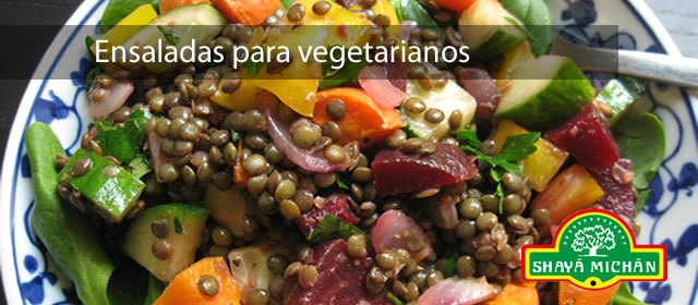 Shaya michan naturista recetas de ensaladas para vegetarianos