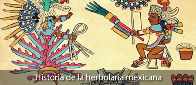 Historia de la herbolaria mexicana